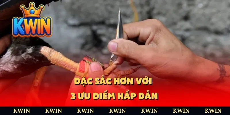 Đặc sắc hơn với 3 ưu điểm hấp dẫn